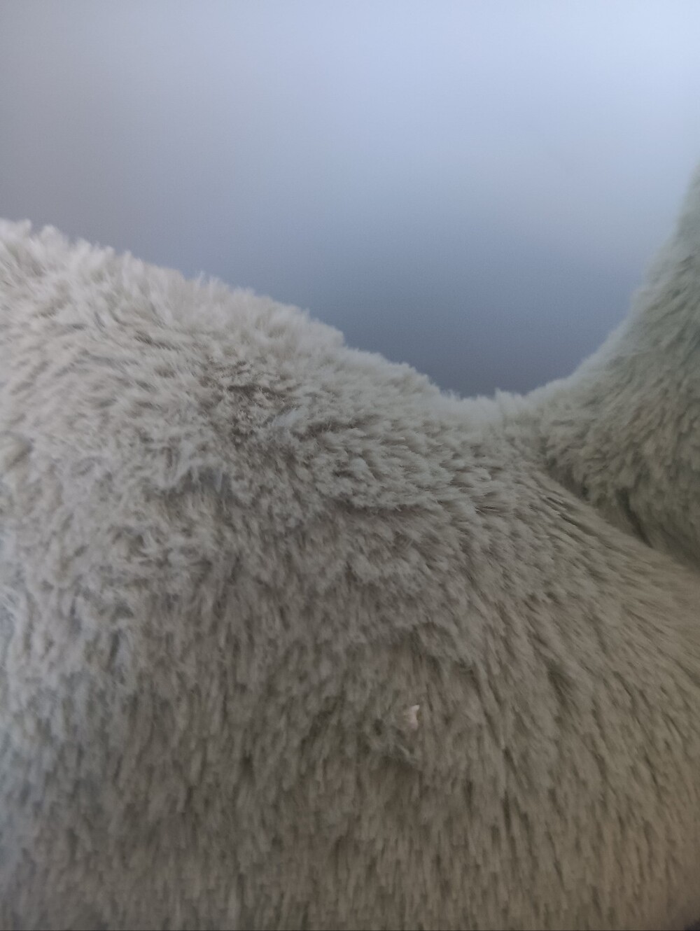 Jellycat Fossilly Brontosaurus Medium - Picture 4 of 6